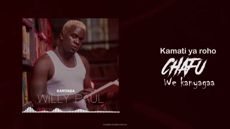 Download Audio | Willy Paul – Kanyagaa