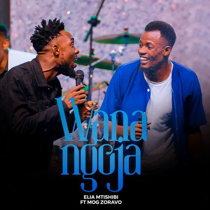 Music Audio : Elia Mtishibi Ft. Zoravo – Wanangoja