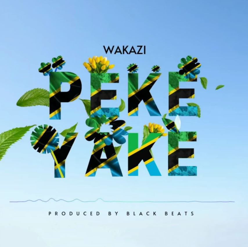 Music Audio : Wakazi – Peke Yake