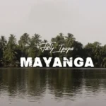Music Audio : Fally Ipupa – Mayanga