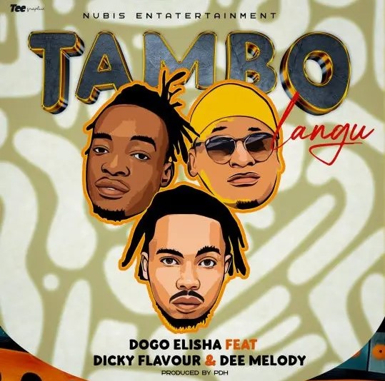 Music Audio : Dogo Elisha – Tambo | Download