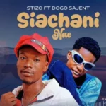 Music Audio : Stizo Ft Dogo sajent – SIACHANI NAE | Download