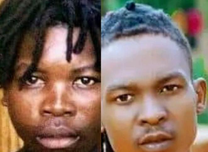 Music Audio : Rasi Ft Sinajina mc – Wanakunja | Download