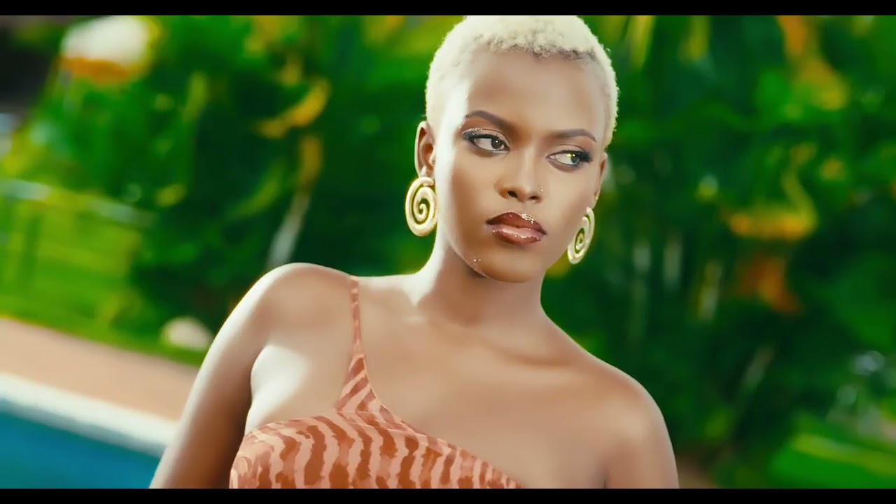Music Audio : Wizden Ft Chris MB – Fine Lady | Download