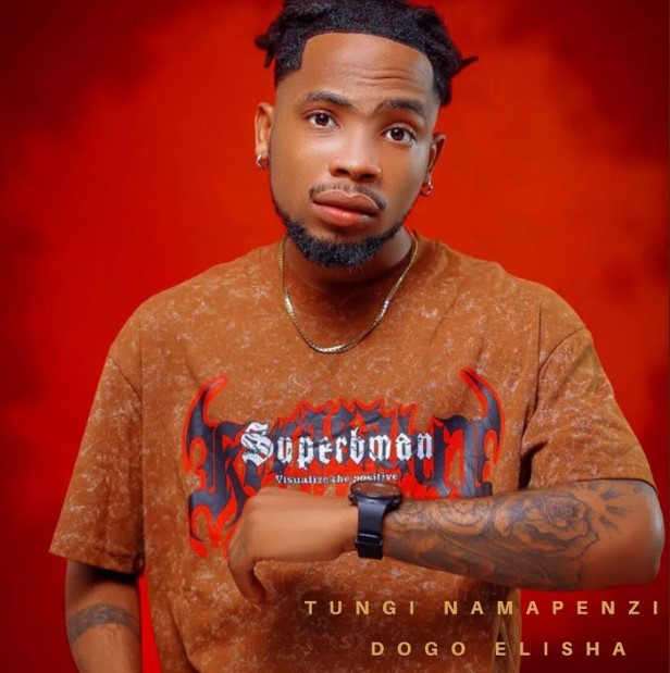 Music Audio : Dogo Elisha – Visa Vya Nini | Download