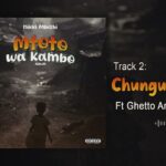 Music Audio : Nikki Mbishi Ft Ghetto Ambassador – Changu Tamu | Download