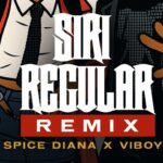 Stream & Download Music Audio : Viboyo Oweyo Ft Spice Diana – Siri Regular | Download