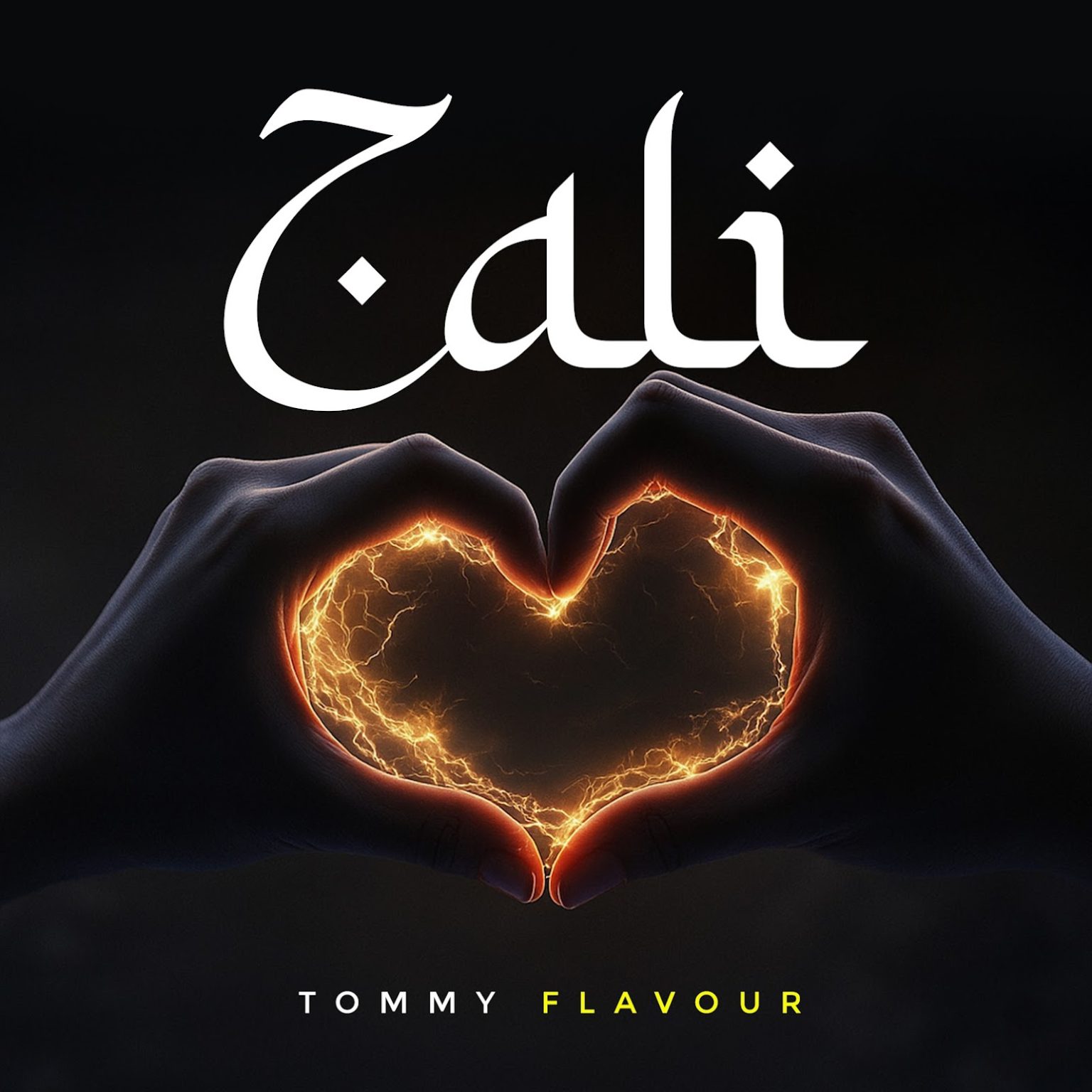 Music Audio : Tommy Flavour – Zali | Download