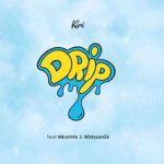 Music Audio : Kiri ft Wiztyson26 x Mkorino – Drip | Download