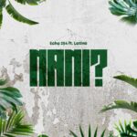 Music Audio : Echo 254 ft Latinoh – Nani | Download