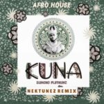 Music Audio : Diamond Platnumz x Nektunez – Kuna | Download