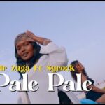 VIDEO : Mr Zuga Ft Syrock – Pale Pale