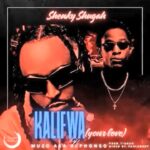 Stream & Download Music Audio : Shenky shugah ft Muzo – Kalifwa | Download