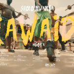 Stream & Download VIDEO : Sholo Mwamba – Kawaida