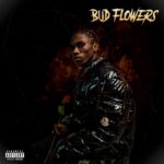 Music Audio : Toxic Lyrikali – Bud Flowers | Download