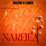 Music Audio : Nacha Ft. Linex – Narejea | Download