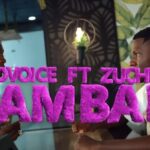 VIDEO : D Voice ft Zuchu – BamBam (Mp4 Download)