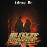 Music Audio : Nilegee By Mlenga Boy | Download