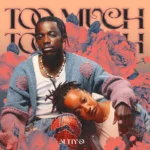 Music Audio : Nutty O – Too Much | Download