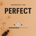 Stream & Download Music Audio : Viongozi 255 – Perfect | Download