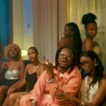 Stream & Download VIDEO : Lava Lava Ft. Billnass & Dj Awakening – V.I.P