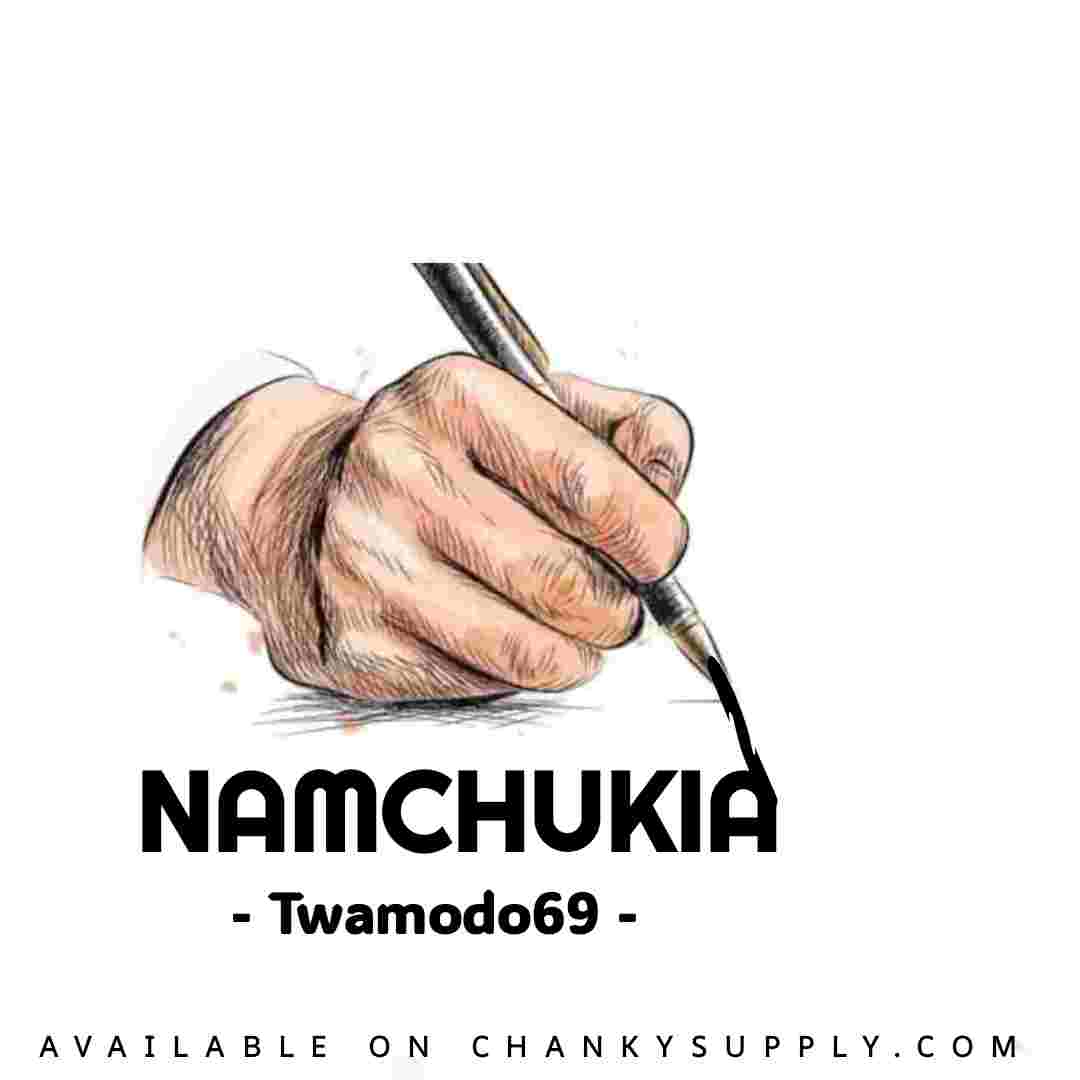 Music Audio : Twamodo69 – Namchukia | Download