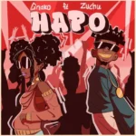 Stream & Download Music Audio : G Nako ft. Zuchu – Hapo | Download