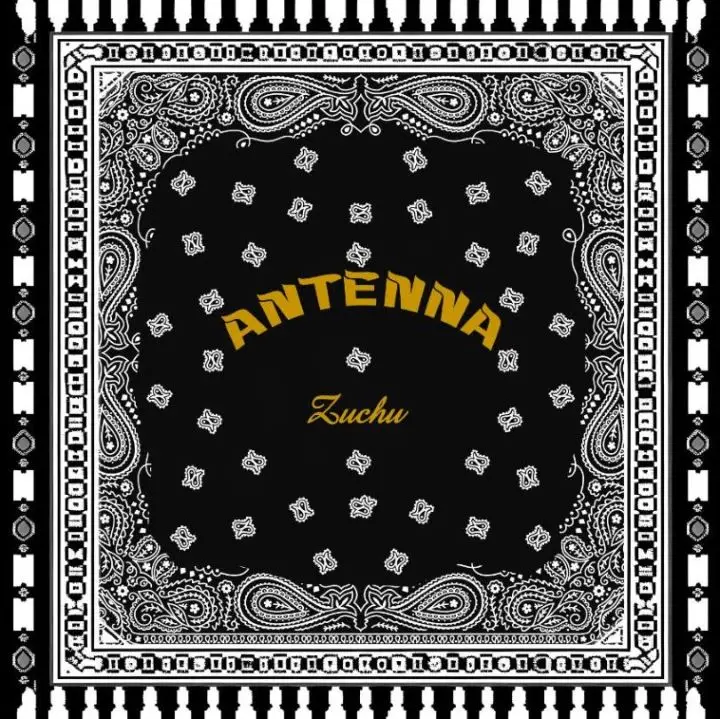 Music Audio : Zuchu – Antenna | Download