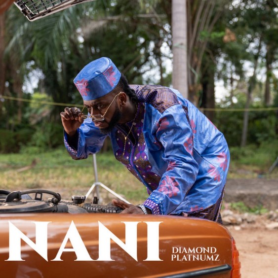 Music Audio : Diamond Platnumz – Nani | Download