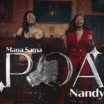 Stream & Download VIDEO : Maua Sama Ft. Nandy – Poa