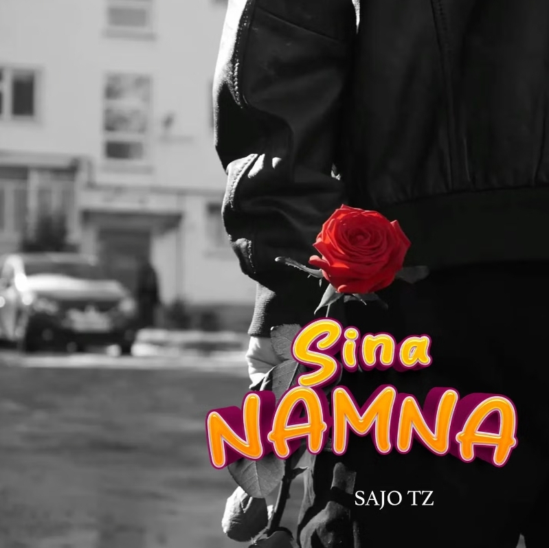 Music Audio : Sajo TZ – Sina Namna | Download